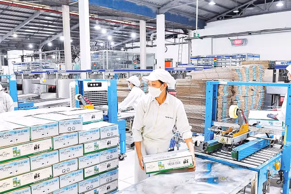 Dây chuyền sản xuất tại Nhà máy chế biến sữa Mộc Châu. Ảnh: La Sơn