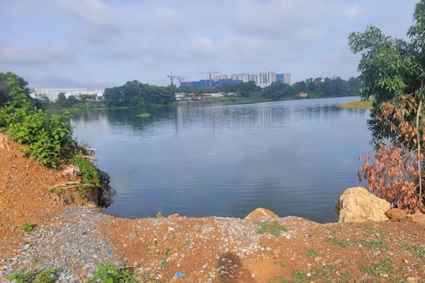 Một hồ nước trên địa bàn phường Đông Hòa (khu vực tỉnh Bình Dương cũ). 