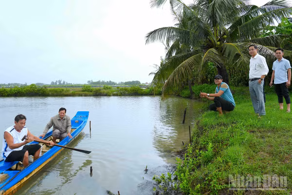 Tại vùng nông thôn Cà Mau, nuôi trồng thủy sản tiếp tục đóng vai trò chủ lực. (Ảnh: HỮU TÙNG)