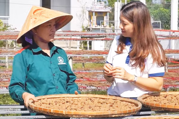Hương sạch MARIN từ thảo mộc thiên nhiên đã được người dân đón nhận. Ảnh: PN 