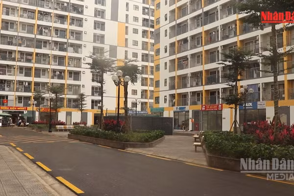 [Video] Đà Nẵng đề xuất hỗ trợ mua nhà ở đến 800 triệu đồng để thu hút nhân tài