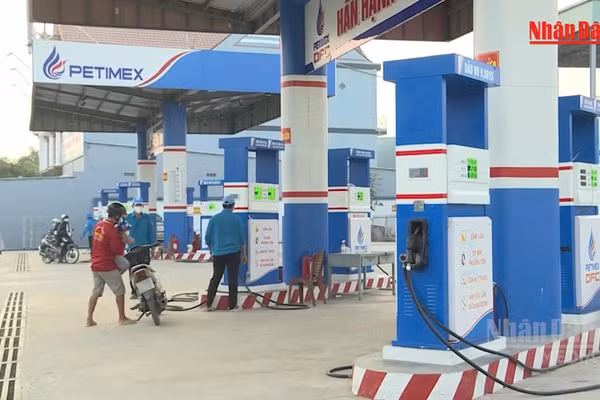 [Video] Chuyển Công an điều tra vụ Petimex bán 185 triệu lít xăng dầu trị giá 2.841 tỉ không có chứng từ