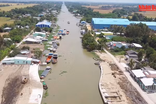 [Video] Đồng Tháp kích hoạt kịch bản ứng phó hạn mặn, dự báo khốc liệt như mùa khô 2019 - 2020