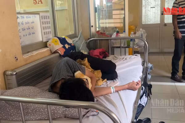 [Video] TP Hồ Chí Minh ghi nhận hơn 42.500 ca sốt xuất huyết, 11 người tử vong
