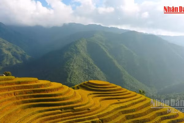 [Video] Việt Nam vào top 10 quốc gia được yêu thích nhất thế giới năm 2026