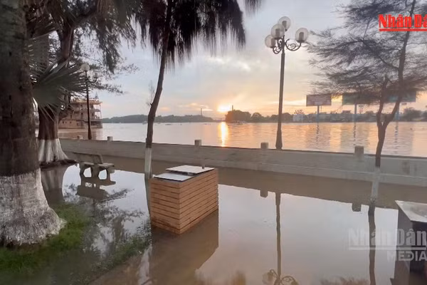 [Video] Cần Thơ cảnh báo triều cường vượt báo động III, nhiều nơi nguy cơ ngập sâu