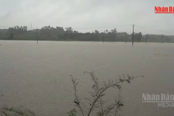 [Video] Các tỉnh, thành từ Hà Tĩnh đến Đà Nẵng chủ động ứng phó với mưa lớn, sạt lở đất