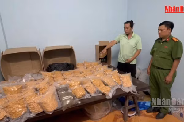  [Video] Công an TP Hồ Chí Minh triệt phá đường dây ma túy liên tỉnh cực lớn, bắt 151 đối tượng