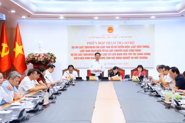 Phó Chủ tịch Quốc hội Nguyễn Hồng Diên phát biểu chỉ đạo tại Phiên họp thẩm tra sơ bộ Dự án Luật sửa đổi, bổ sung một số điều của 10 Luật do Ủy ban Khoa học, Công nghệ và Môi trường của Quốc hội tổ chức. Ảnh: Hương Nguyên