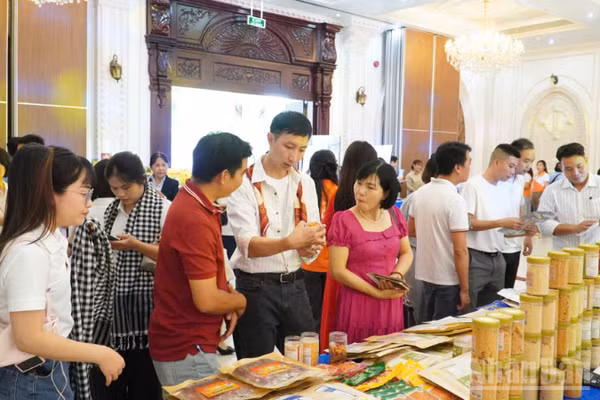 Hơn 30 doanh nghiệp Hà Nội đã tham gia các hoạt động xúc tiến, khảo sát và thực tế đầu tư tại Cần Thơ. (Ảnh: VĂN ÚT)