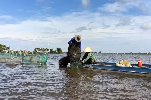 Mùa nước nổi đã mang lại lợi ích kép cho cư dân vùng đầu nguồn châu thổ Cửu Long. 