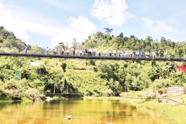 Nhiều đoàn khách đến tham quan, chiêm ngưỡng cá mát được bảo vệ trên suối Nặm Cướm. Ảnh: Bé Vinh