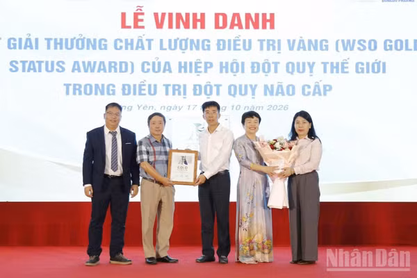 Bệnh viện Đột quỵ và Thần kinh Hà Nội-Thái Bình nhận giải thưởng của Tổ chức Đột quỵ Thế giới. (Ảnh: MAI TÚ)