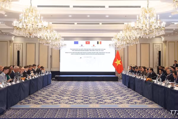 Toạ đàm cấp cao giữa Tổng Bí thư, Chủ tịch nước Tô Lâm với lãnh đạo doanh nghiệp tiêu biểu châu Âu và Bỉ. (Ảnh: TTXVN)
