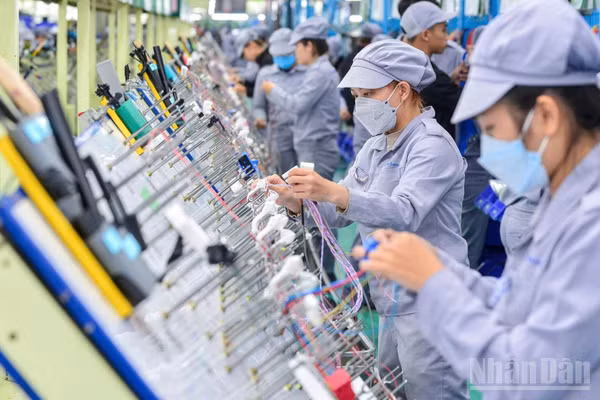Doanh nghiệp Việt Nam đang từng bước chuyển đổi theo hướng xanh hơn, số hóa sâu hơn. (Ảnh THÀNH ĐẠT)