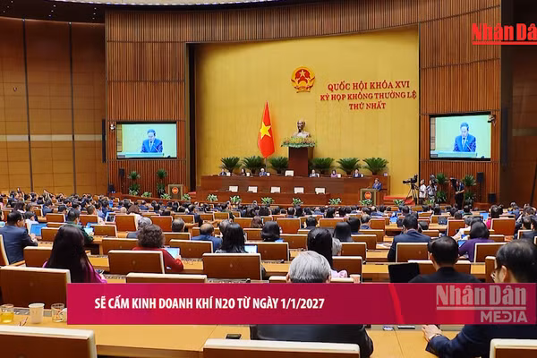 [Video] Sẽ cấm kinh doanh khí N2O từ 1/1/2027