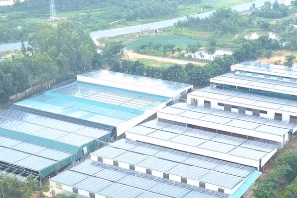 Một trang trại sản xuất sử dụng điện mặt trời ở phía bắc tỉnh Quảng Trị. (Ảnh: HG)