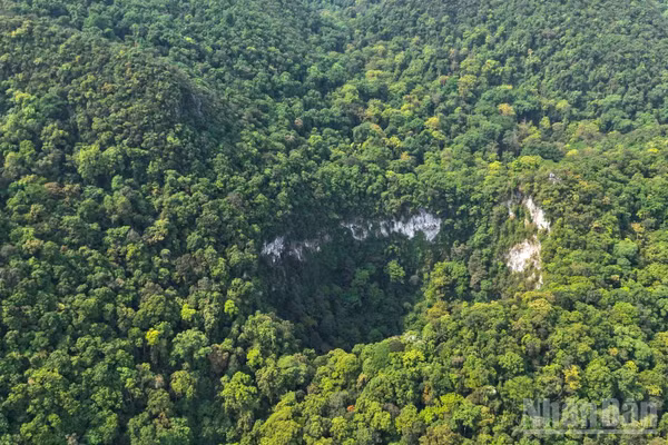 Hố sụt vừa phát hiện ở khu vực Chà Nòi-Khe Gát nhìn từ trên cao. (Ảnh: Jungle Boss)