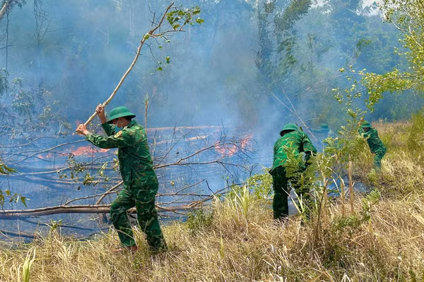 Các lực lượng tham gia khống chế cháy rừng. (Ảnh: Ngọc Lân)