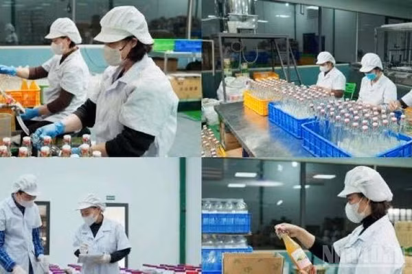 Các doanh nghiệp khoa học-công nghệ gia tăng mạnh trong bối cảnh hiện nay. (Ảnh: CTV)