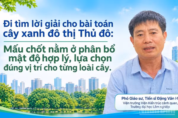 Cây xanh là hạng mục công trình hạ tầng quan trọng trong các đô thị, cần được đầu tư nghiên cứu, xây dựng một cách bài bản. (Ảnh có yếu tố AI)