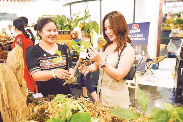 Du khách tìm hiểu, mua sắm tại Chương trình giới thiệu, quảng bá sâm Ngọc Linh và dược liệu thành phố Đà Nẵng.