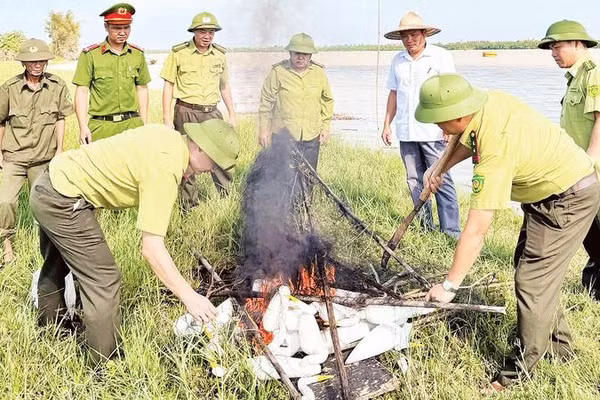 Lực lượng chức năng tỉnh Nghệ An xử lý các bẫy chim hoang dã.