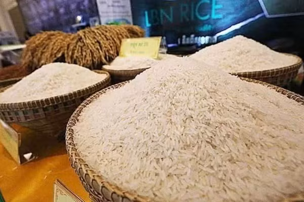 Campuchia có nhiều giống gạo ngon, được thị trường quốc tế ưa chuộng. (Ảnh: Khmer Times)
