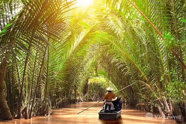 Những con đường thủy xanh mướt bóng dừa. 