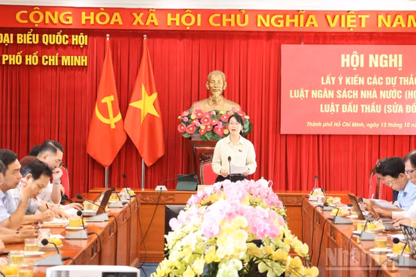 Bà Trần Thị Diệu Thúy, Phó Trưởng đoàn chuyên trách Đoàn đại biểu Quốc hội khóa XVI Thành phố Hồ Chí Minh phát biểu tại hội nghị. (Ảnh: Vương Lê)