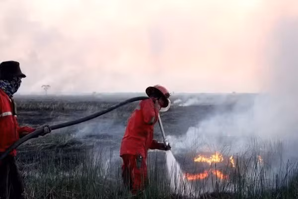 Lính cứu hỏa nỗ lực dập lửa cháy rừng tại Indonesia. (Ảnh: THX/TTXVN)