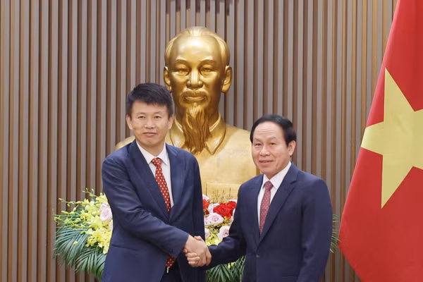  Phó Thủ tướng Lê Tiến Châu tiếp Giáo sư Thái Hồng Tân, Hiệu trưởng Trường Kinh doanh, Đại học Hongkong (Trung Quốc). (Ảnh: TTXVN)