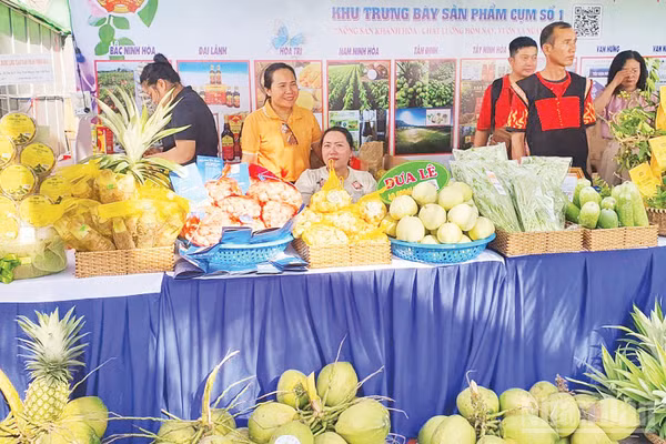 Nông sản sau thu hoạch được các doanh nghiệp, hợp tác xã trên địa bàn tỉnh Khánh Hòa phân loại, dán tem truy xuất nguồn gốc, trưng bày giới thiệu với người tiêu dùng. (Ảnh: NGUYỄN TRUNG)
