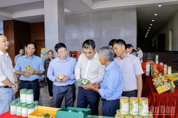 Việc mở rộng chỉ dẫn địa lý không chỉ góp phần bảo vệ danh tiếng đặc sản nhãn lồng, mà còn tạo cơ sở nâng cao giá trị kinh tế, sức cạnh tranh của sản phẩm. (Ảnh: MAI TÚ)