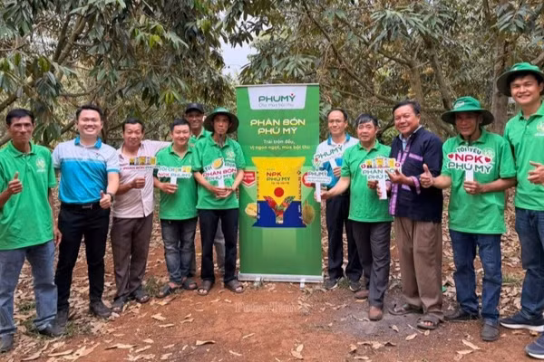Phú Mỹ đồng hành cùng nông dân từ sản phẩm đến các hoạt động tư vấn, chia sẻ kinh nghiệm và giải pháp dinh dưỡng cây trồng, góp phần hướng tới sản xuất nông nghiệp hiệu quả, bền vững. (Ảnh: Đạm Phú Mỹ)
