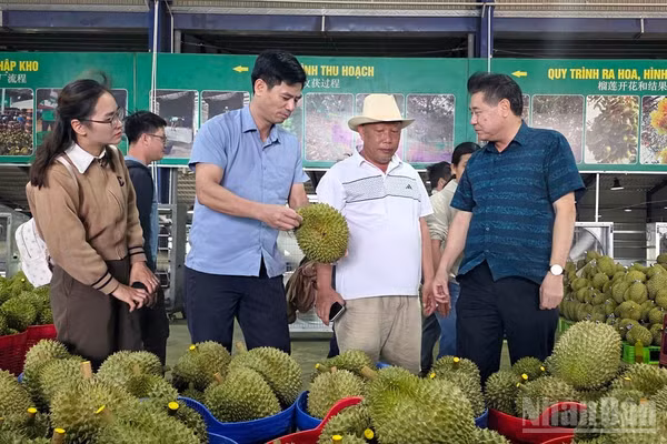 Giám đốc Trung tâm Khuyến nông quốc gia Lê Quốc Thanh (bìa phải) cùng đại biểu thực tế tại cơ sở đóng gói Công ty Trách nhiệm hữu hạn Thương mại Sản xuất Long Thủy, tỉnh Lâm Đồng. (Ảnh: BẢO VĂN)