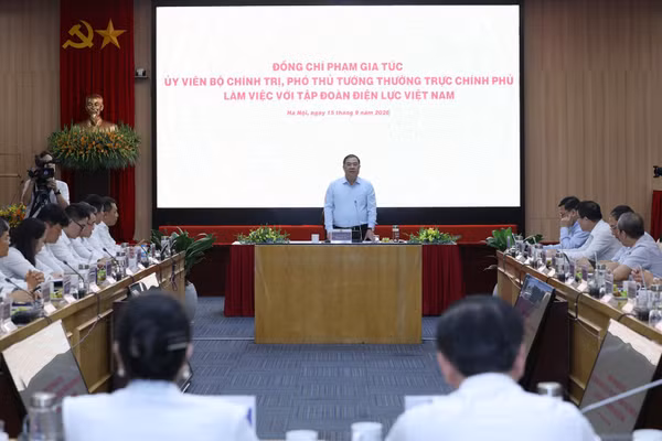 Phó Thủ tướng Thường trực Phạm Gia Túc phát biểu tại cuộc làm việc với Tập đoàn Điện lực Việt Nam. (Ảnh: chinhphu.vn)