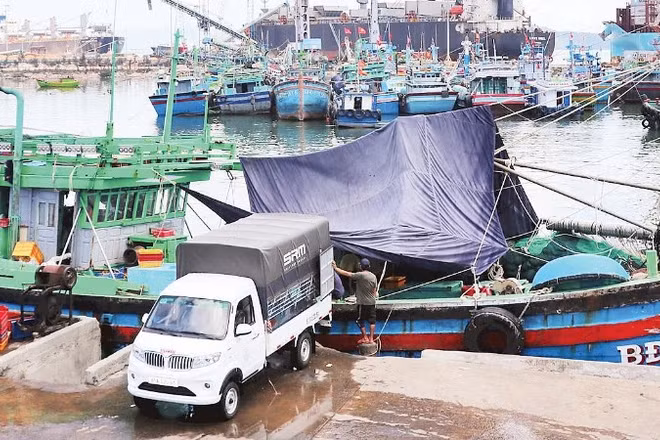 Mỗi năm cảng cá Quy Nhơn đón khoảng 11.000 lượt tàu thuyền ra vào.