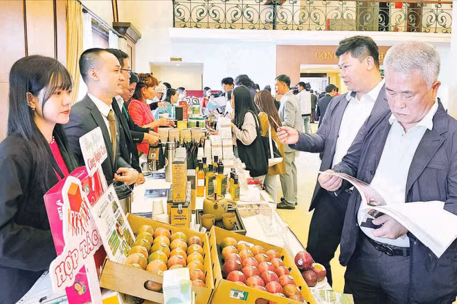 Doanh nghiệp trong nước và nước ngoài tìm hiểu nông sản Lâm Đồng bên lề một hội nghị kết nối giao thương.