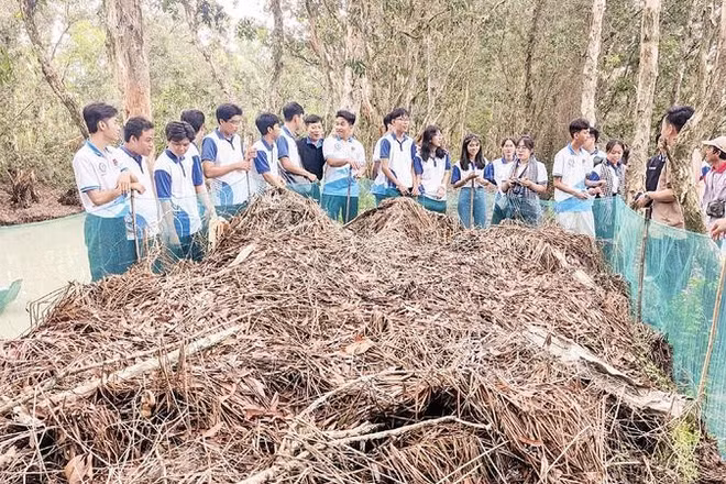 Du khách tham gia trải nghiệm dỡ chà chuột.