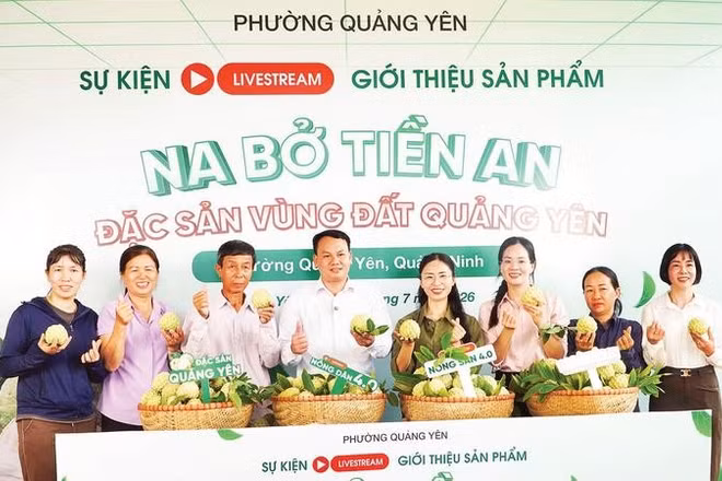 Lãnh đạo phường Quảng Yên trực tiếp tham gia phiên livestream giới thiệu sản phẩm "Na bở Tiền An", đặc sản của địa phương (Ảnh NGUYỄN QUẢNG)