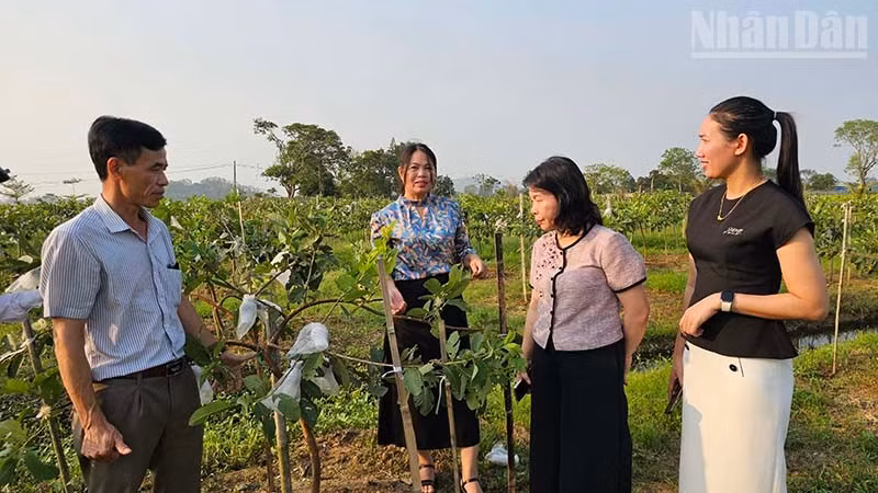 ndo_tr_4-san-xuat.jpg