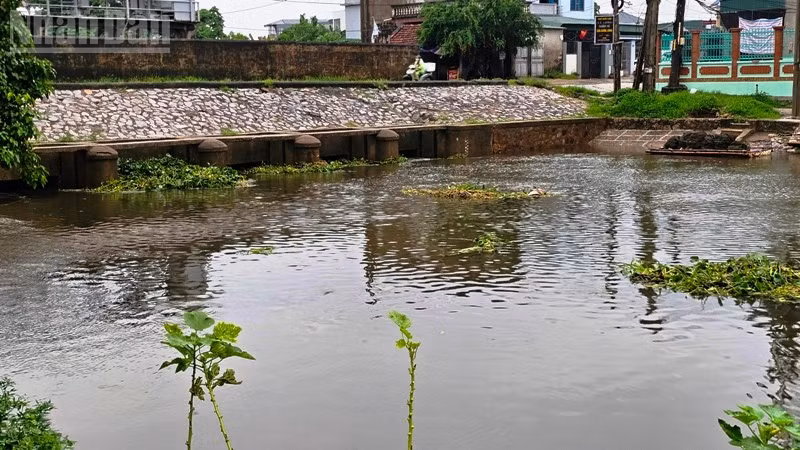 ndo_tl_tieu-thoat.jpg