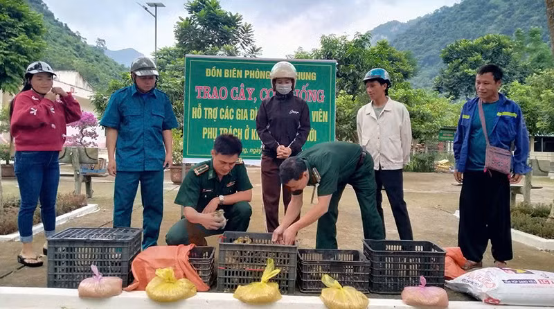 Bộ đội Biên phòng Thanh Hóa tặng thức ăn cùng con giống gia cầm cho các hộ nghèo tổ chức chăn nuôi.