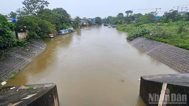 ndo_br_2-tieu-thoat.jpg
