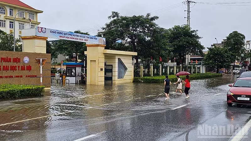 ndo_br_4-ngao.jpg