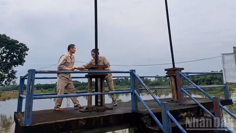 ndo_br_2-tieu-thoat.jpg