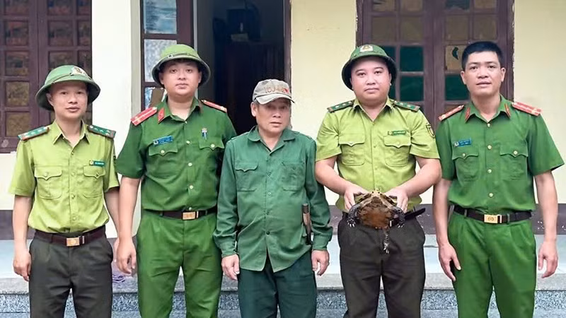 Kiểm lâm cùng Công an tiếp nhận cá thể rùa do công dân giao nộp.