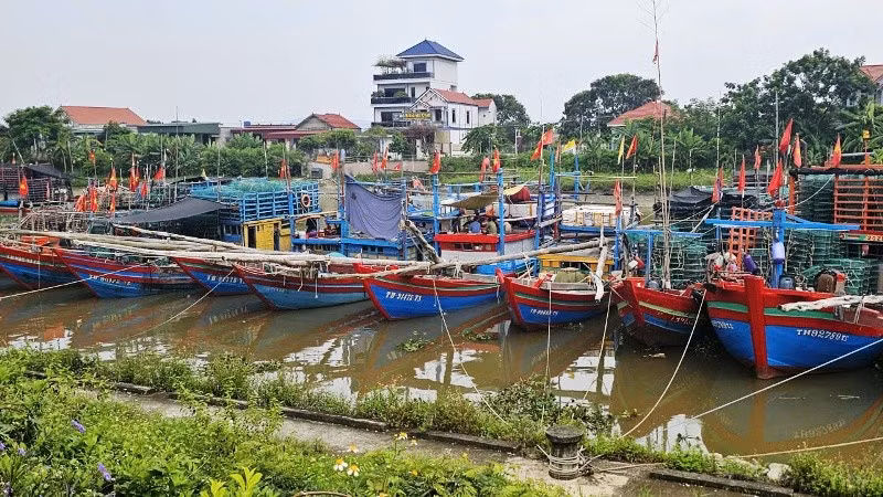 2-phuong-tien.jpg