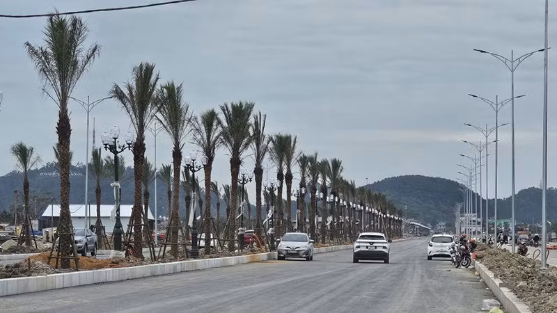 4-truc-chinh.jpg